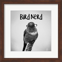 Bird Nerd - Hummingbird Fine Art Print