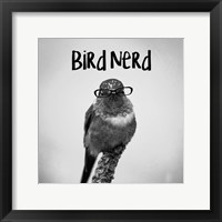 Bird Nerd - Hummingbird Fine Art Print
