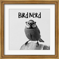 Bird Nerd - Blue Tit Fine Art Print