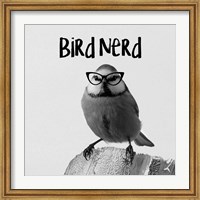 Bird Nerd - Blue Tit Fine Art Print