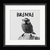 Bird Nerd - Blue Tit Fine Art Print
