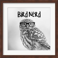Bird Nerd - Owl Fine Art Print