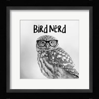 Bird Nerd - Owl Framed Print