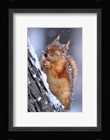 Winter Fine Art Print