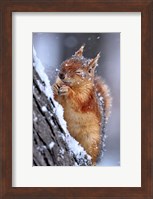 Winter Fine Art Print