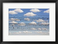 Cantus Arcticus - Concerto For Birds Fine Art Print