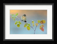 Winter Colors Fine Art Print