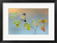 Winter Colors Fine Art Print