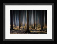Mystic Wood Fine Art Print