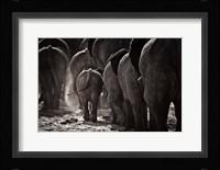 Walking Home Fine Art Print