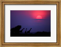 Sunrise In Uganda Fine Art Print