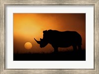 Rhino Sunrise Fine Art Print