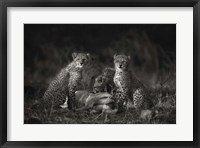 Cheetah Cubs Fine Art Print
