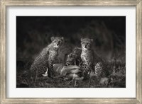 Cheetah Cubs Fine Art Print