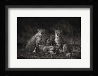 Cheetah Cubs Fine Art Print