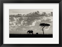 Silhouettes Of Mara Fine Art Print