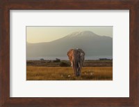 Under The Roof Of Africa Fine Art Print