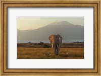 Under The Roof Of Africa Fine Art Print