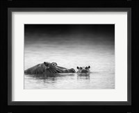 Eye Level Fine Art Print