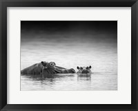 Eye Level Fine Art Print