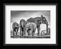 A Giant Unity Fine Art Print