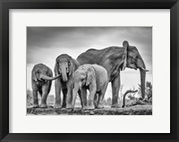 A Giant Unity Fine Art Print