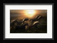 Morning  Gallop Fine Art Print