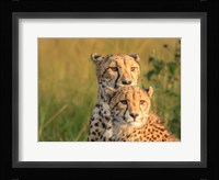 Double Team Fine Art Print