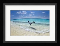 Take-Off Fine Art Print