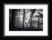 Mysterious Light Fine Art Print