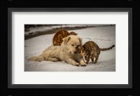 Sweet Effusions Fine Art Print