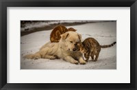 Sweet Effusions Fine Art Print