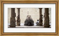 The Elephant & Its Mahot Fine Art Print