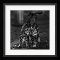 Untitled Fine Art Print