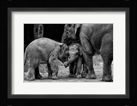 Friends Forever Fine Art Print