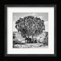 Noon Meeting Fine Art Print