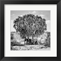 Noon Meeting Fine Art Print