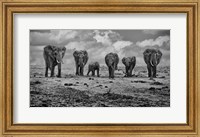 Big Family Fine Art Print