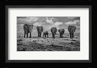 Big Family Fine Art Print