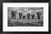 Big Family Fine Art Print