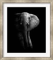 Elephant! Fine Art Print