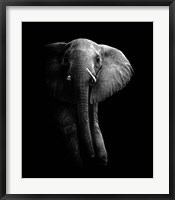 Elephant! Fine Art Print