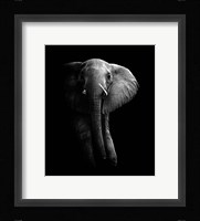 Elephant! Fine Art Print