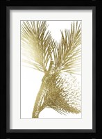 Gold Foil Pine Cones III Framed Print