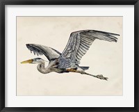 Blue Heron Rendering III Fine Art Print