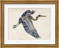 Blue Heron Rendering IV Fine Art Print