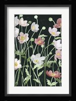 Anemone Dance I Framed Print