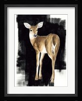 Nocturnal I Framed Print