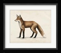 Wandering I Framed Print