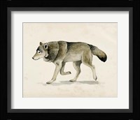 Wandering III Framed Print